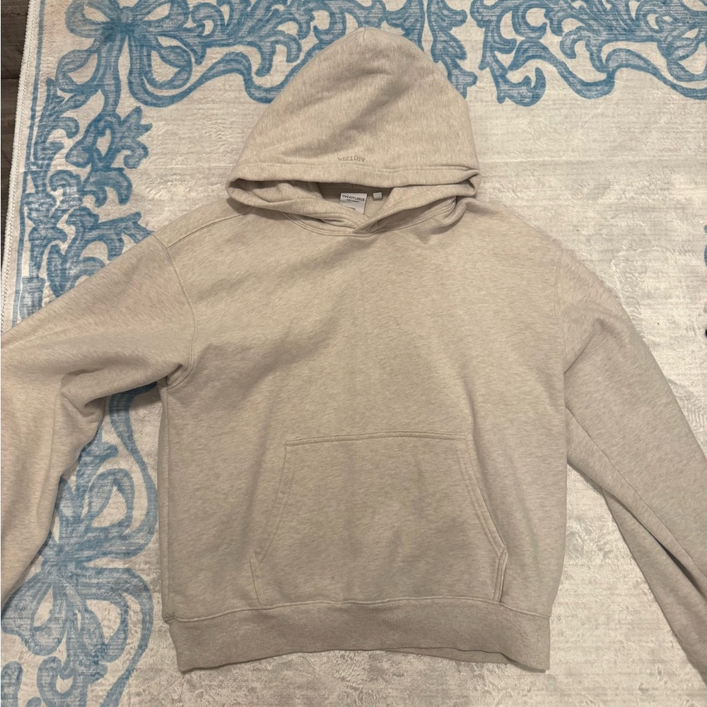 Aritzia Sweatfleece Hoodie